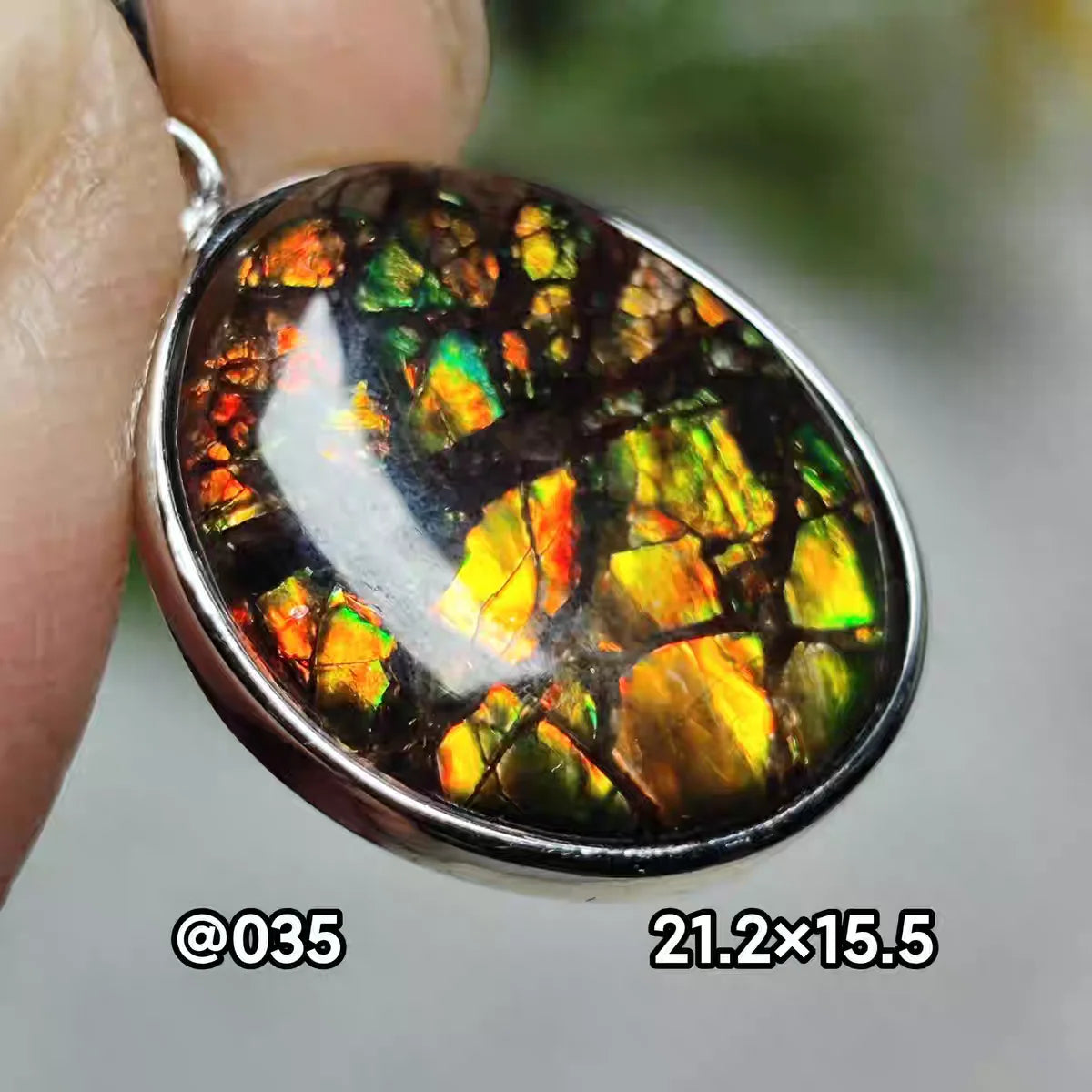 Natural Red Ammonite Ammolite Pendant Light Gemstone Green Ammolite 925 Sterling Silver Women Men Canada Necklace AAAAA