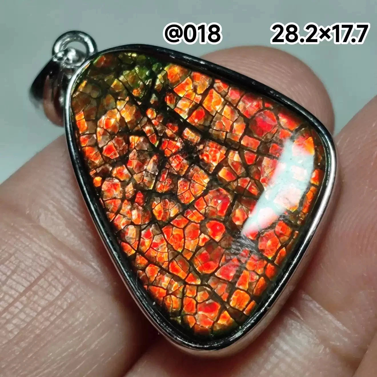 Natural Red Ammonite Ammolite Pendant Light Gemstone Green Ammolite 925 Sterling Silver Women Men Canada Necklace AAAAA