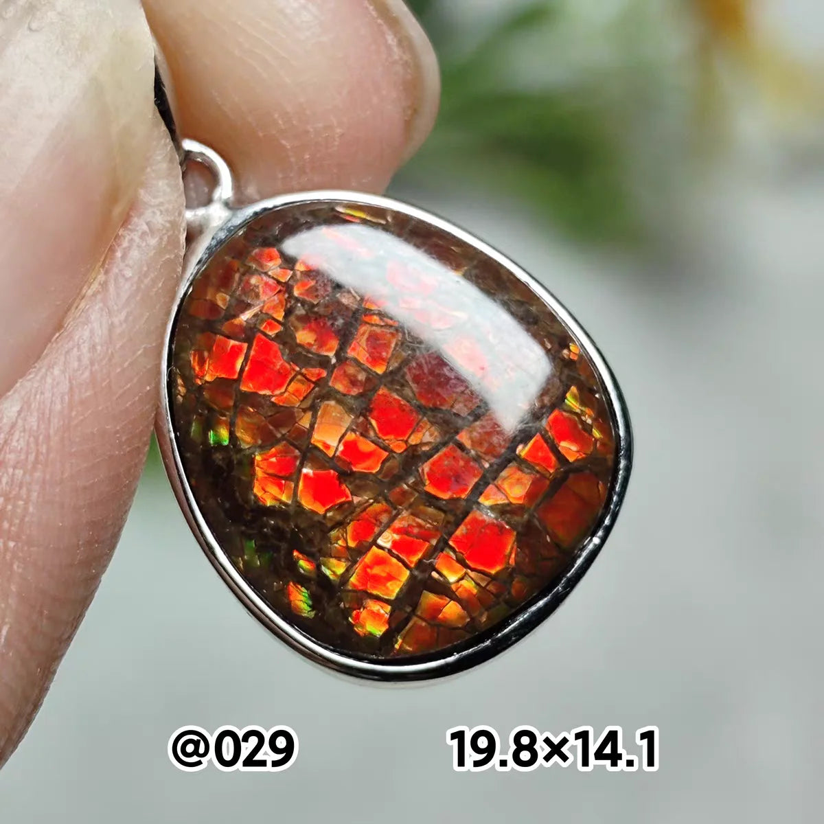 Natural Red Ammonite Ammolite Pendant Light Gemstone Green Ammolite 925 Sterling Silver Women Men Canada Necklace AAAAA