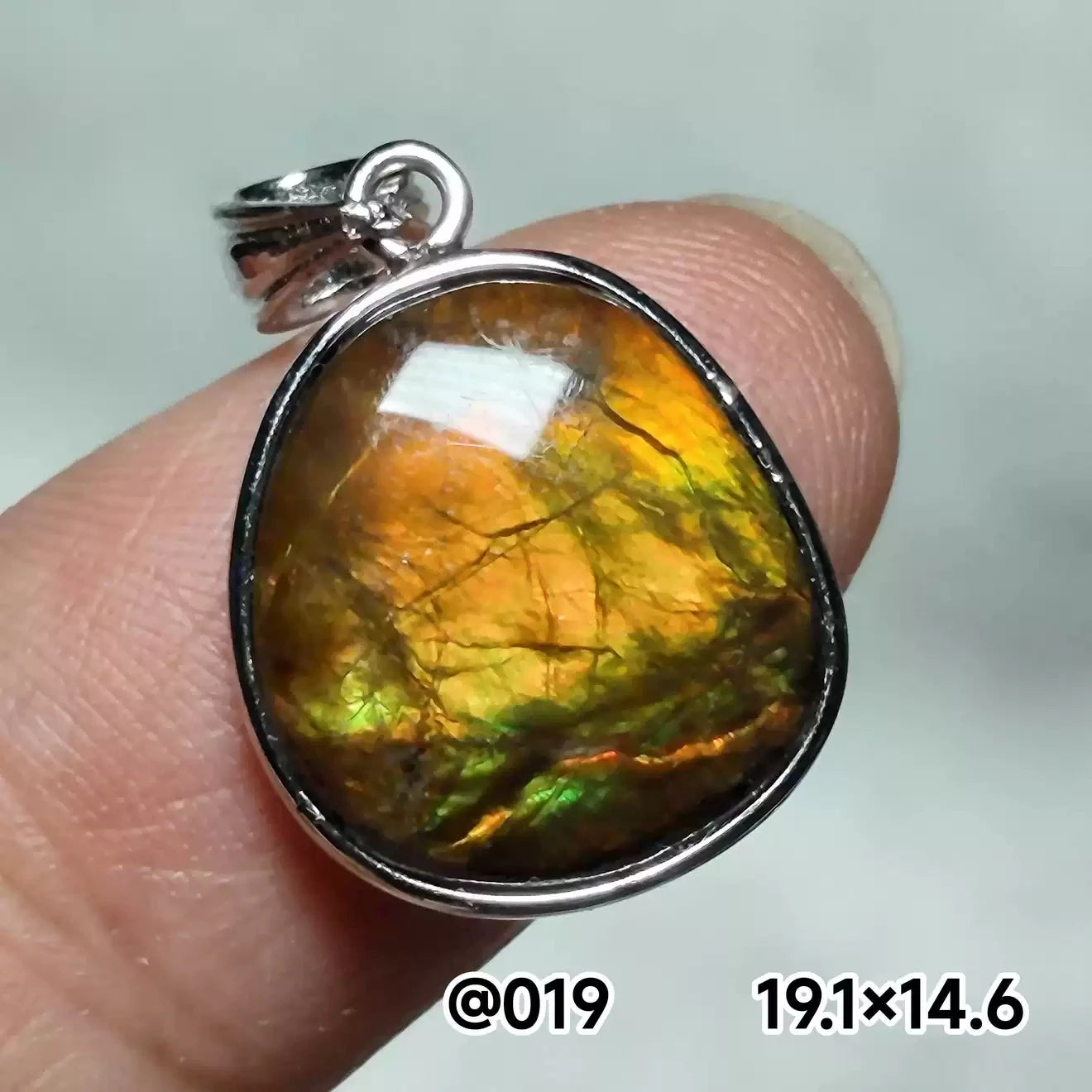 Natural Red Ammonite Ammolite Pendant Light Gemstone Green Ammolite 925 Sterling Silver Women Men Canada Necklace AAAAA