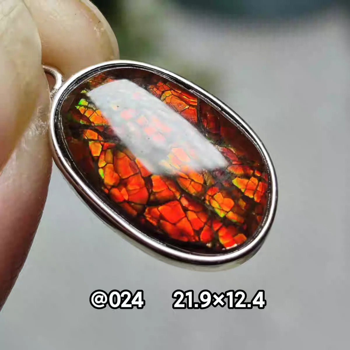 Natural Red Ammonite Ammolite Pendant Light Gemstone Green Ammolite 925 Sterling Silver Women Men Canada Necklace AAAAA