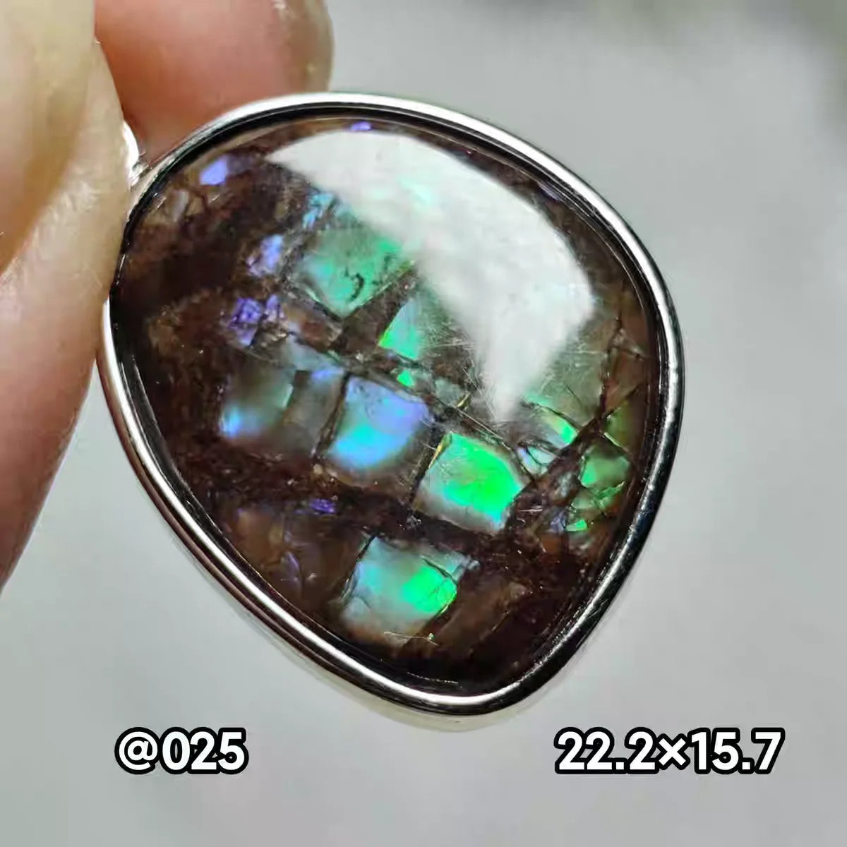 Natural Red Ammonite Ammolite Pendant Light Gemstone Green Ammolite 925 Sterling Silver Women Men Canada Necklace AAAAA