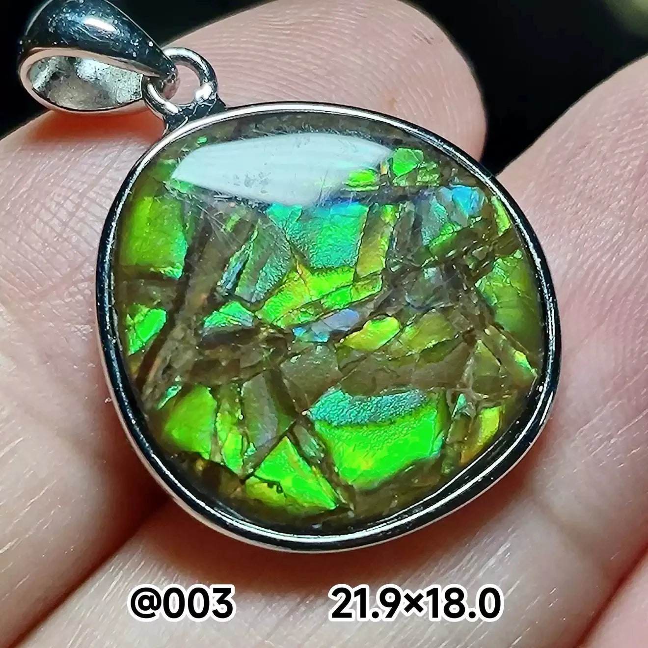 Natural Red Ammonite Ammolite Pendant Light Gemstone Green Ammolite 925 Sterling Silver Women Men Canada Necklace AAAAA