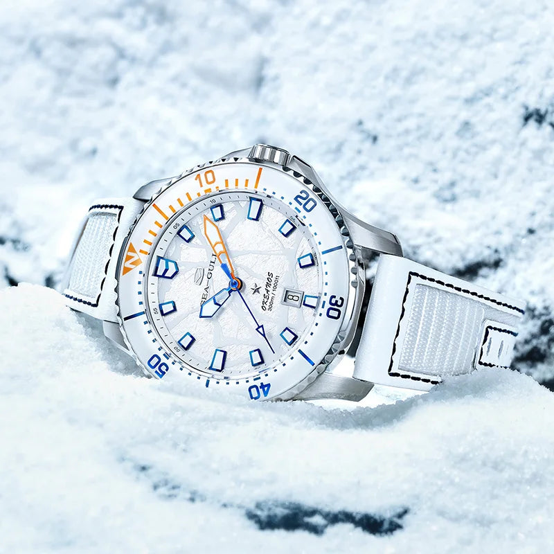 Seagull Ocean Series Pro Men Automatic Mechanical Watch Titanium Case Sapphire 300m Waterproof Luxury Diving Watches 414.12.1210