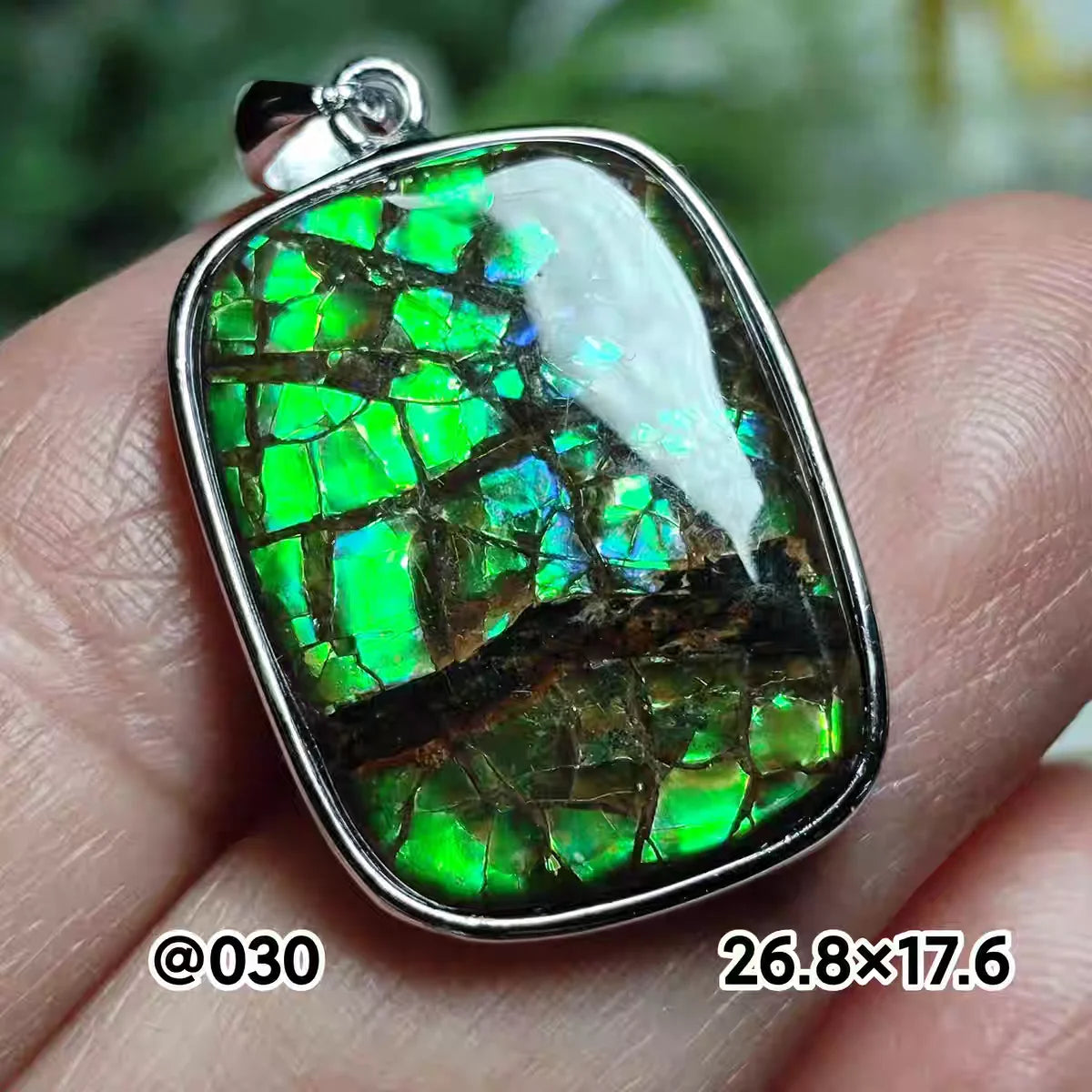 Natural Red Ammonite Ammolite Pendant Light Gemstone Green Ammolite 925 Sterling Silver Women Men Canada Necklace AAAAA