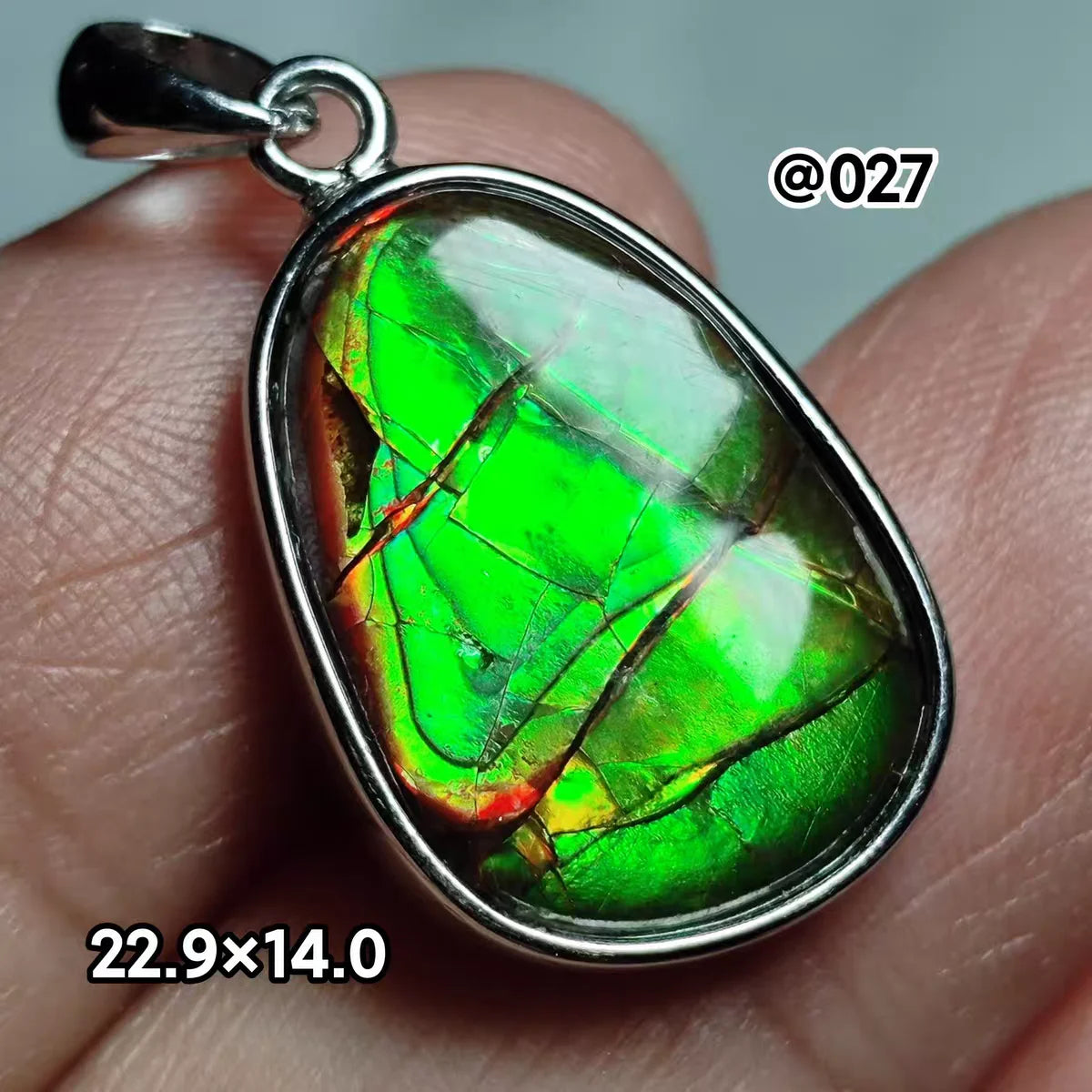 Natural Red Ammonite Ammolite Pendant Light Gemstone Green Ammolite 925 Sterling Silver Women Men Canada Necklace AAAAA