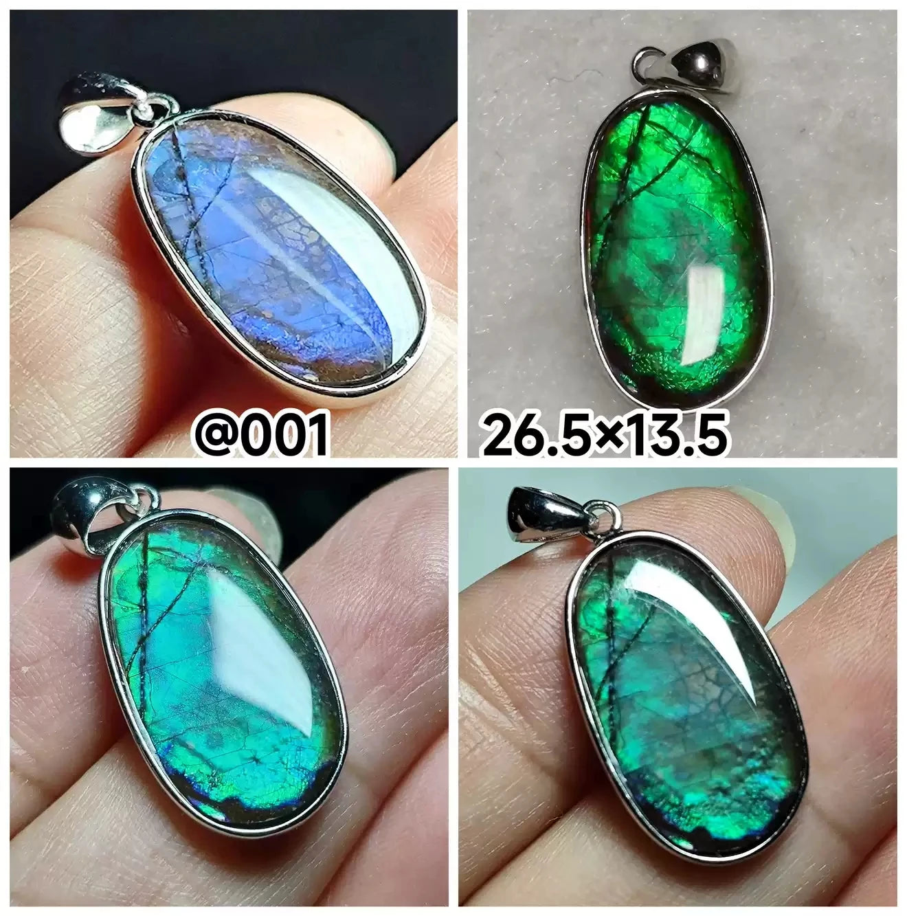 Natural Red Ammonite Ammolite Pendant Light Gemstone Green Ammolite 925 Sterling Silver Women Men Canada Necklace AAAAA