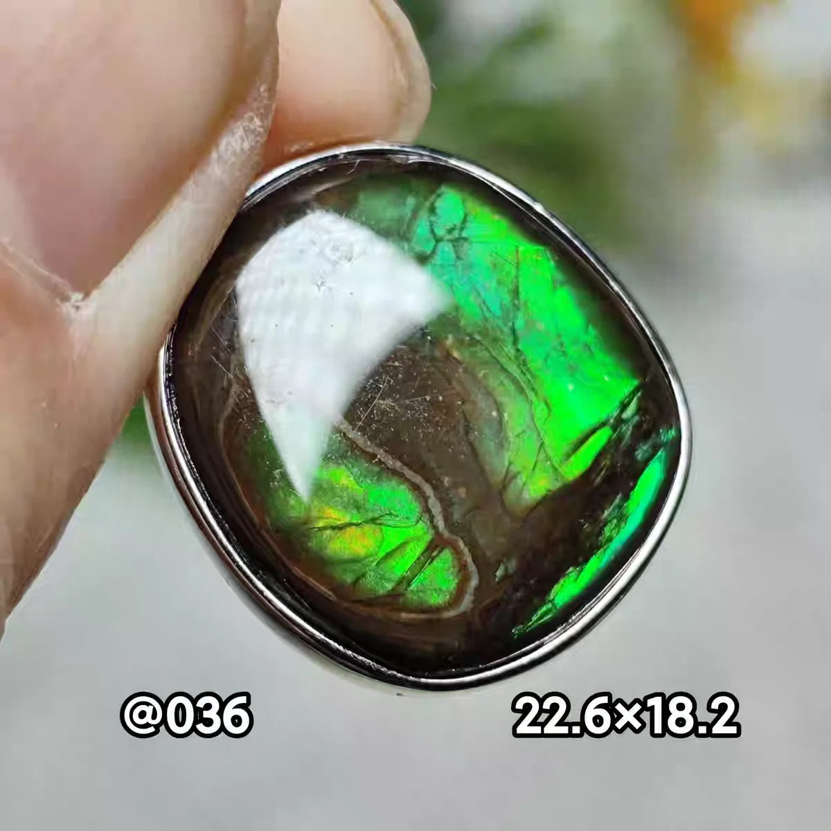 Natural Red Ammonite Ammolite Pendant Light Gemstone Green Ammolite 925 Sterling Silver Women Men Canada Necklace AAAAA