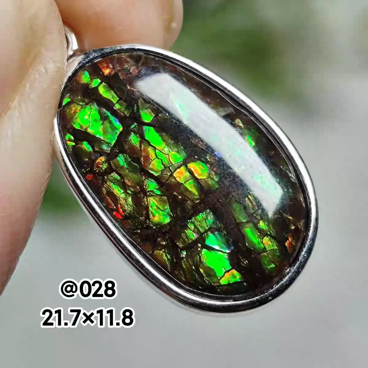 Natural Red Ammonite Ammolite Pendant Light Gemstone Green Ammolite 925 Sterling Silver Women Men Canada Necklace AAAAA