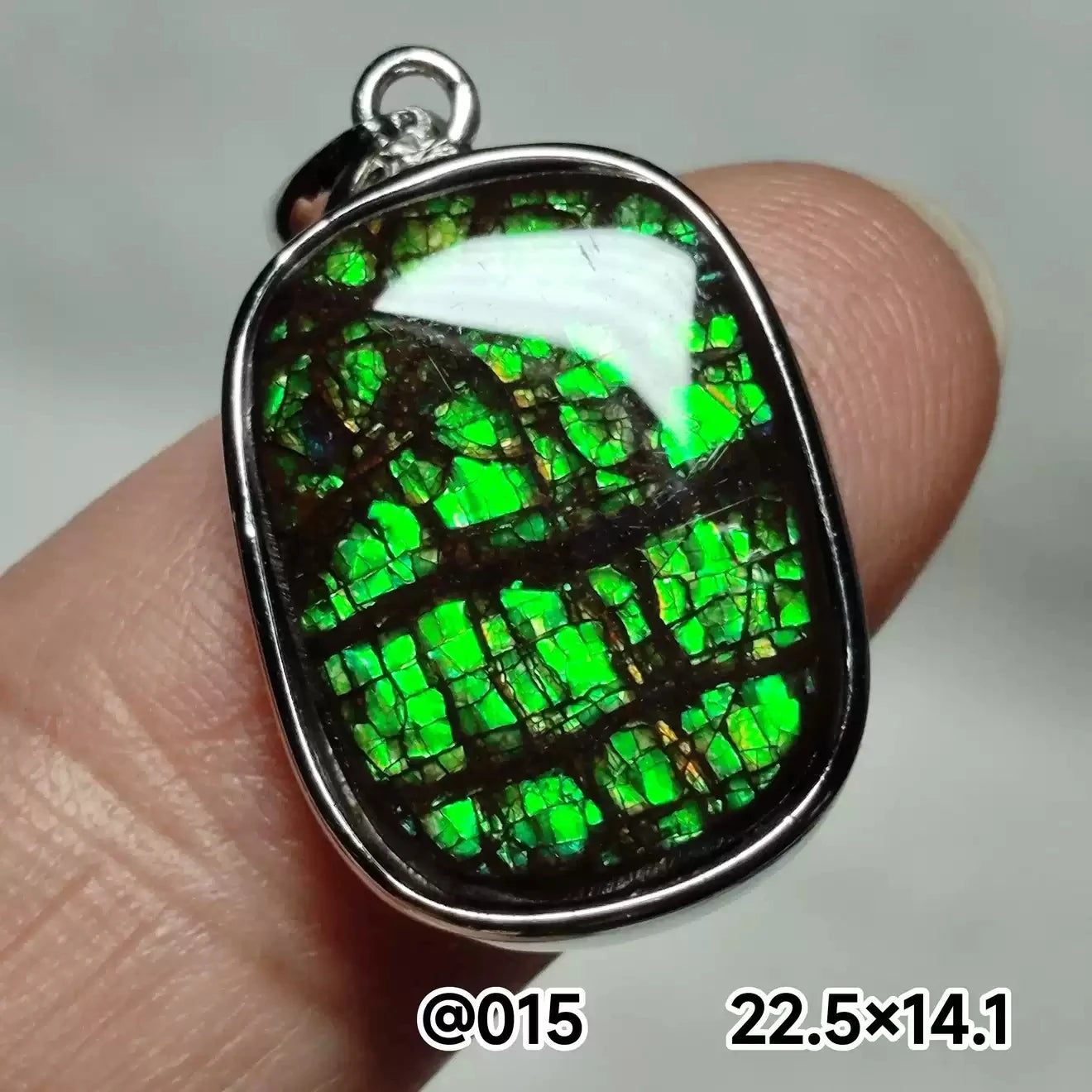 Natural Red Ammonite Ammolite Pendant Light Gemstone Green Ammolite 925 Sterling Silver Women Men Canada Necklace AAAAA