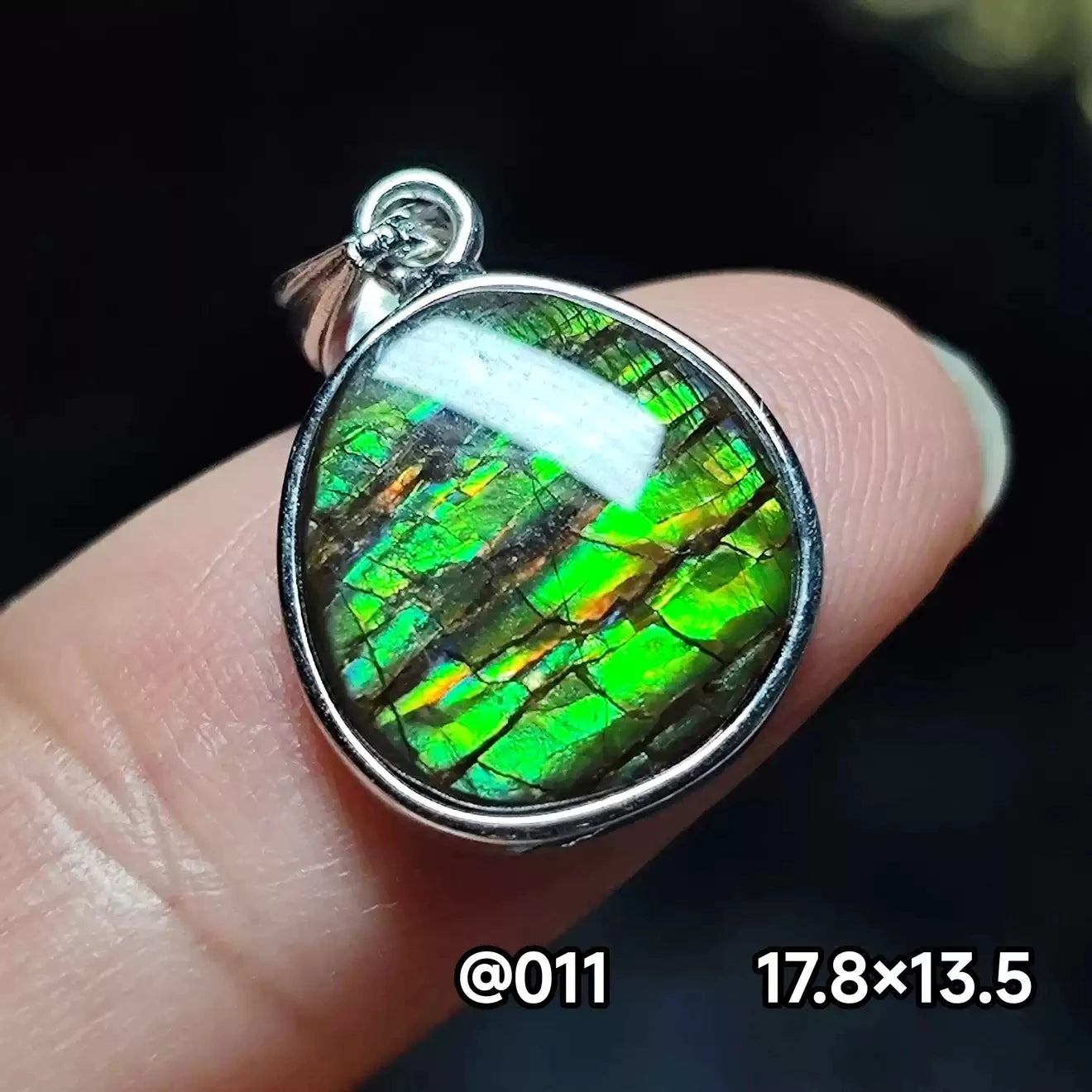 Natural Red Ammonite Ammolite Pendant Light Gemstone Green Ammolite 925 Sterling Silver Women Men Canada Necklace AAAAA